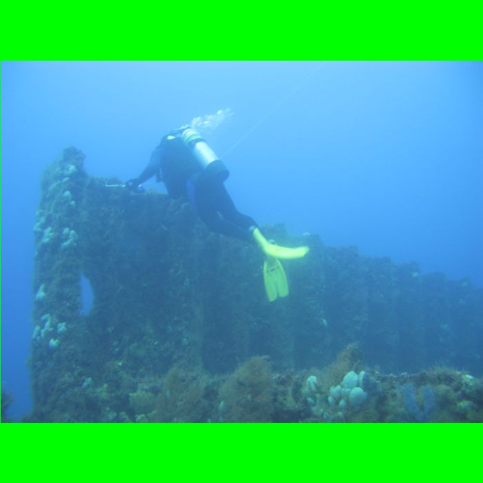 Dive WP Wrecks 25-Oct-09_389.JPG